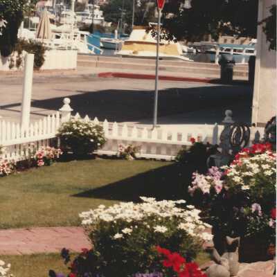 328 Sapphire Avenue - Garden