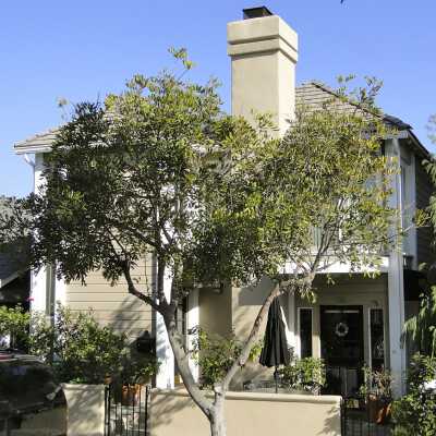 114 Opal Avenue