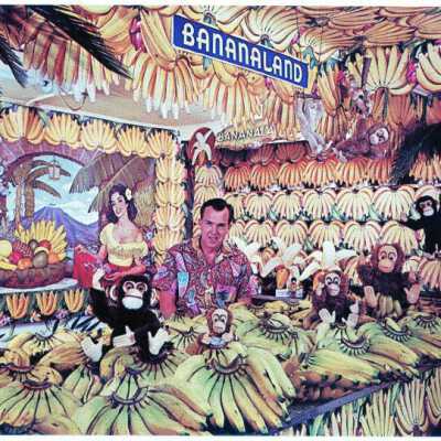 The Original Frozen Bananas