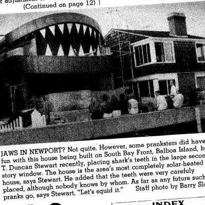 Newport Ensign - Jaws in Newport