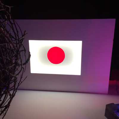 Untitled Ohashi (Japanese flag)