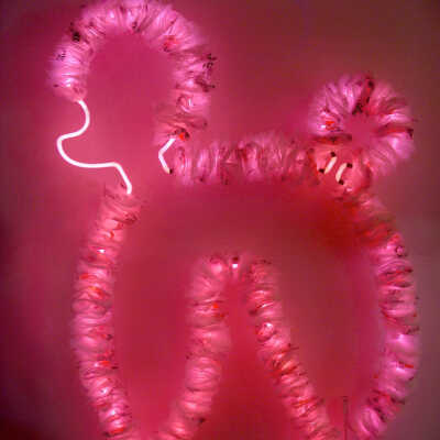 Fifty Shades of Pink: E40 Rose