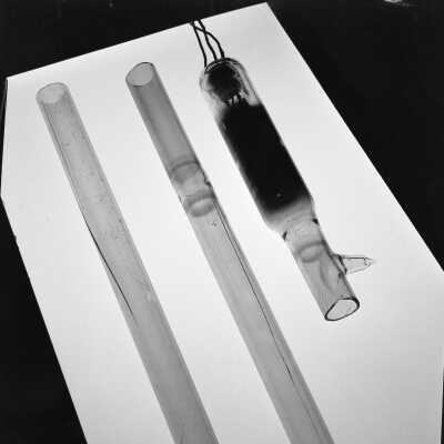 Trombley Nitrate Negatives