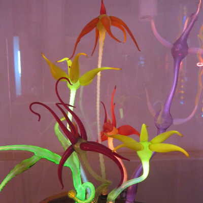 Bouquet (color/uranium)