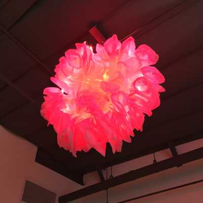 Gump's Peony