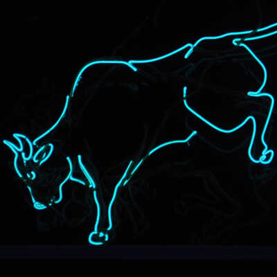 Bucking Bull