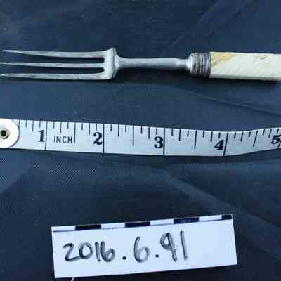 Fork