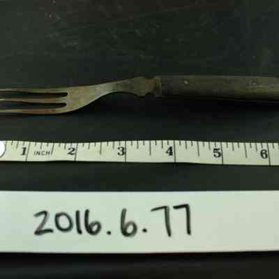 Fork