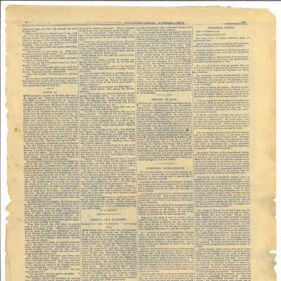 Newspaper