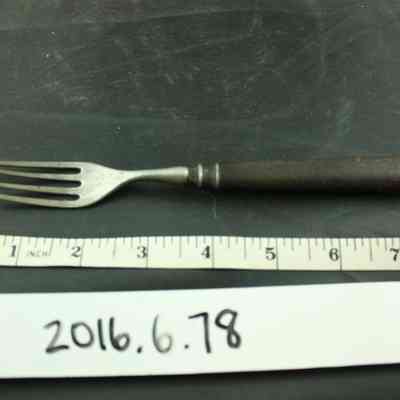 Fork