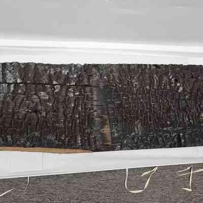 Roof Plank