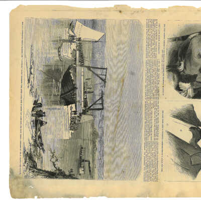 Newspaper