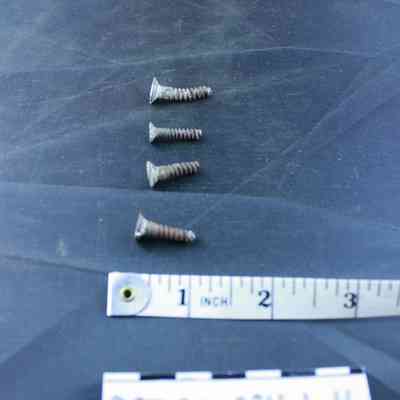 Screw