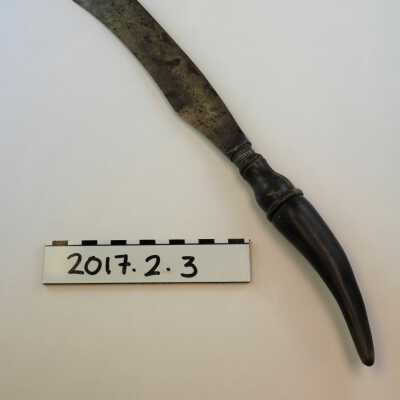 Carving Knife