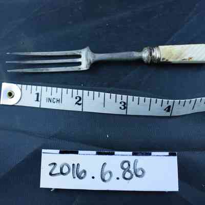 Fork