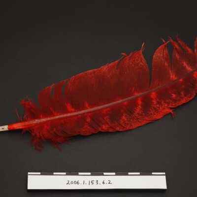 Obverse 1