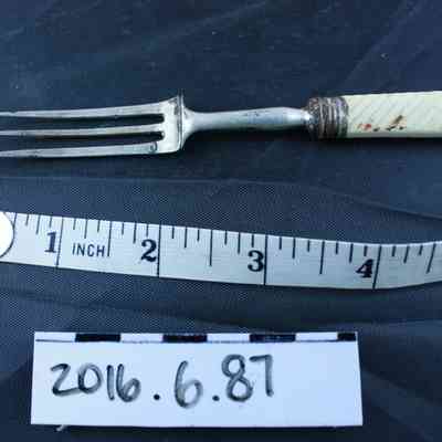 Fork