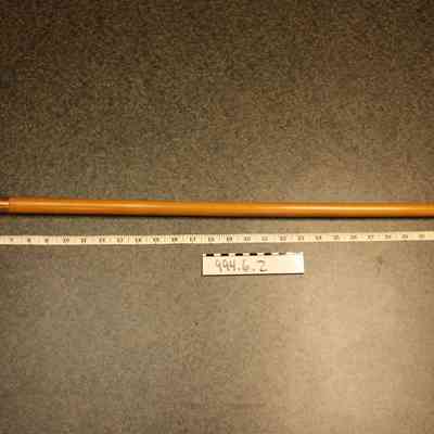 Walking Stick