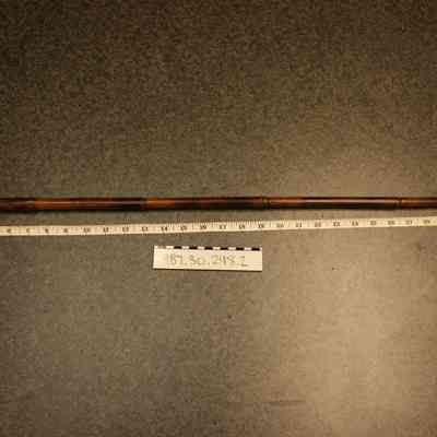 Walking Stick