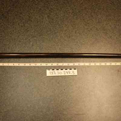 Walking Stick