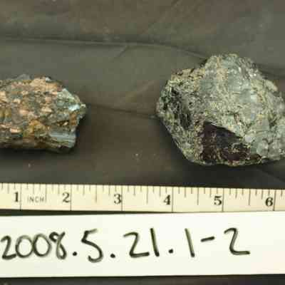 Coal