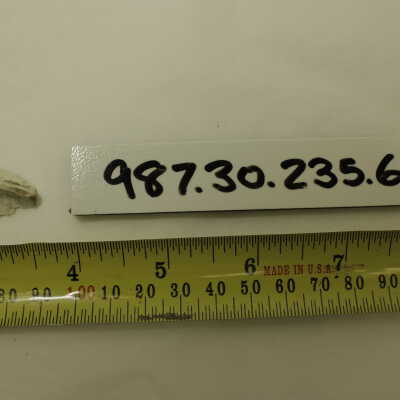 987.30.235.6