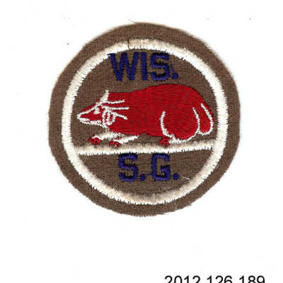 Wisconsin State Guard Patch