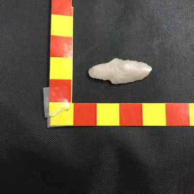 Hunting Arrowhead Agate