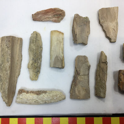 Post fractured fossilized wood