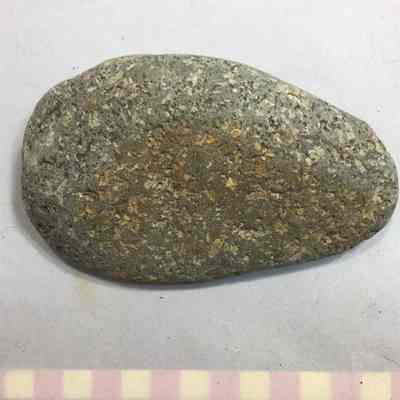 Diorite Porphyry