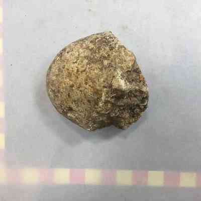 Granite clast
