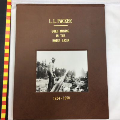 Gold Mining in the Boise Basin book
