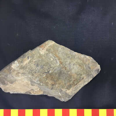 Volcanic Tuff with Leaf fossil