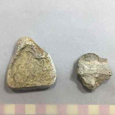 Pebble Spal Face