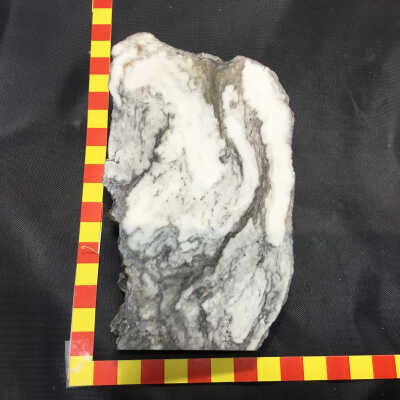 Quartz Migmatite - Meta Andesite