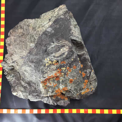 Pseudotachylite (Impact Melt)