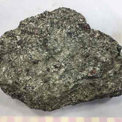 Garnet Gneiss