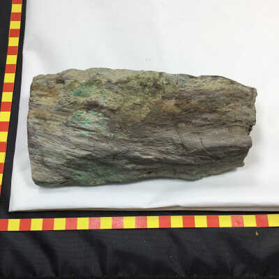 Fossil Wood in Rich Copper Ore