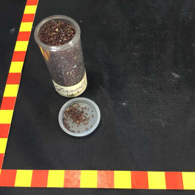 Garnet Sand