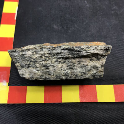 Granitoid Gneiss