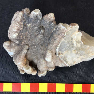 Botryloidal Agate