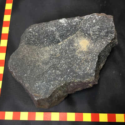 Porphyritic Andesite