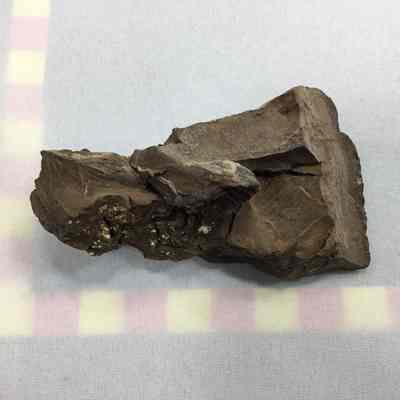 Bruneau Jasper