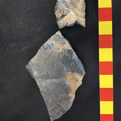 Iron Meteorites