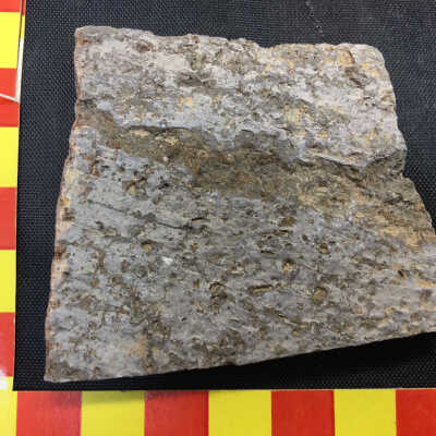 Gem Rhyolite
