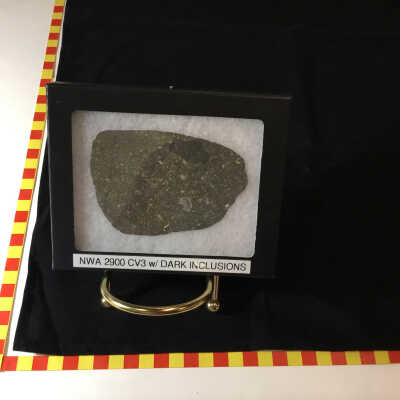 Northwest Africa 2900 Meteorite