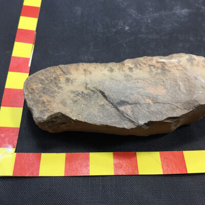 Rhyolite Clast