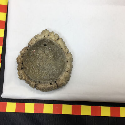 Antler Bearing Block