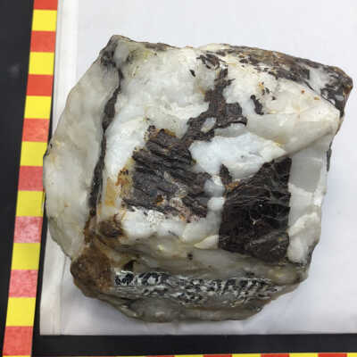 Wulfenite