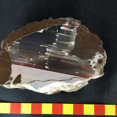 Thunderegg
